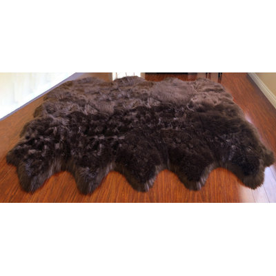 Whelchel Performance Sheepskin Indoor Rug