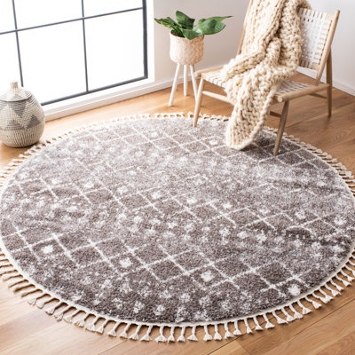 Conklin Fringe Shag Performance Southwestern Rug