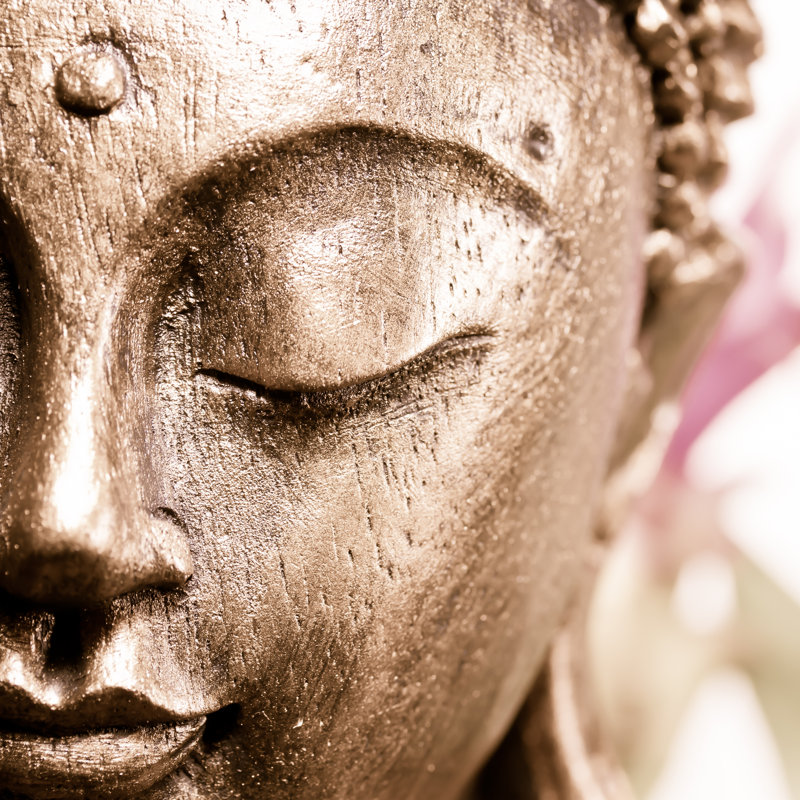 Buddha - Wrapped Canvas Print, 122cm H x 122cm W