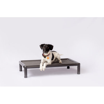 Cooling Elevated Dog Bed
