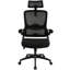 Chaise de bureau ergonomique en maille Neva-1335595933