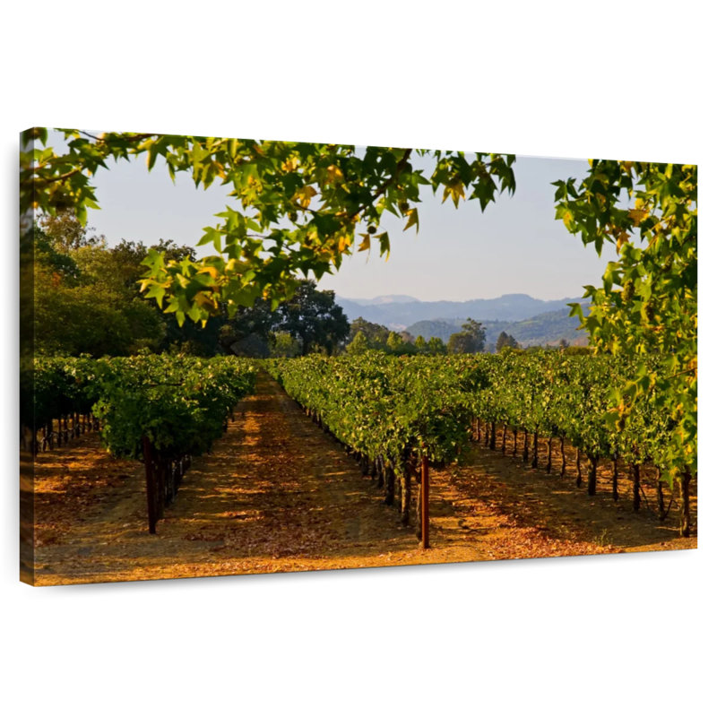 Alvord Napa Vineyard Sunset, H 24 po x l 36 po