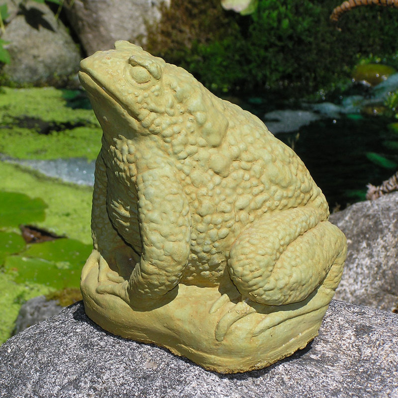 Statue crapaud, Noyer foncé