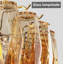 Lustre style campagne moderne linéaire en verre fumé-130217932
