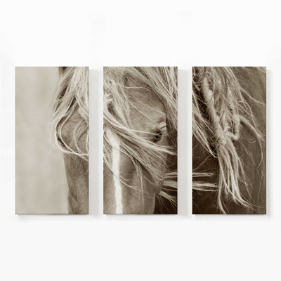 Gaceful Majesty | Impression sur toile 3 panneaux | Dimensions combinées: 48 po x 72 po