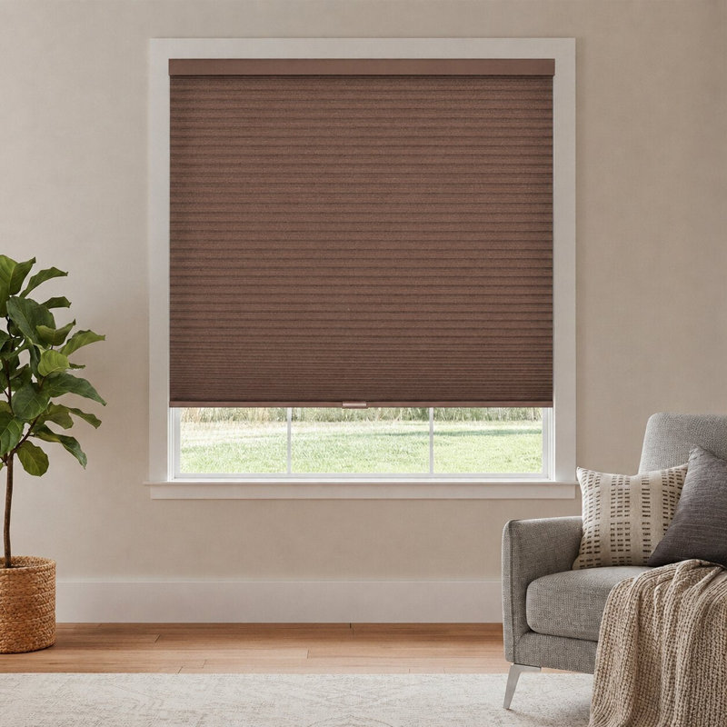 Store alvéolaire alvéolaire à double cellule sans cordon filtrant la lumière, L 47,75 po x H 72 po