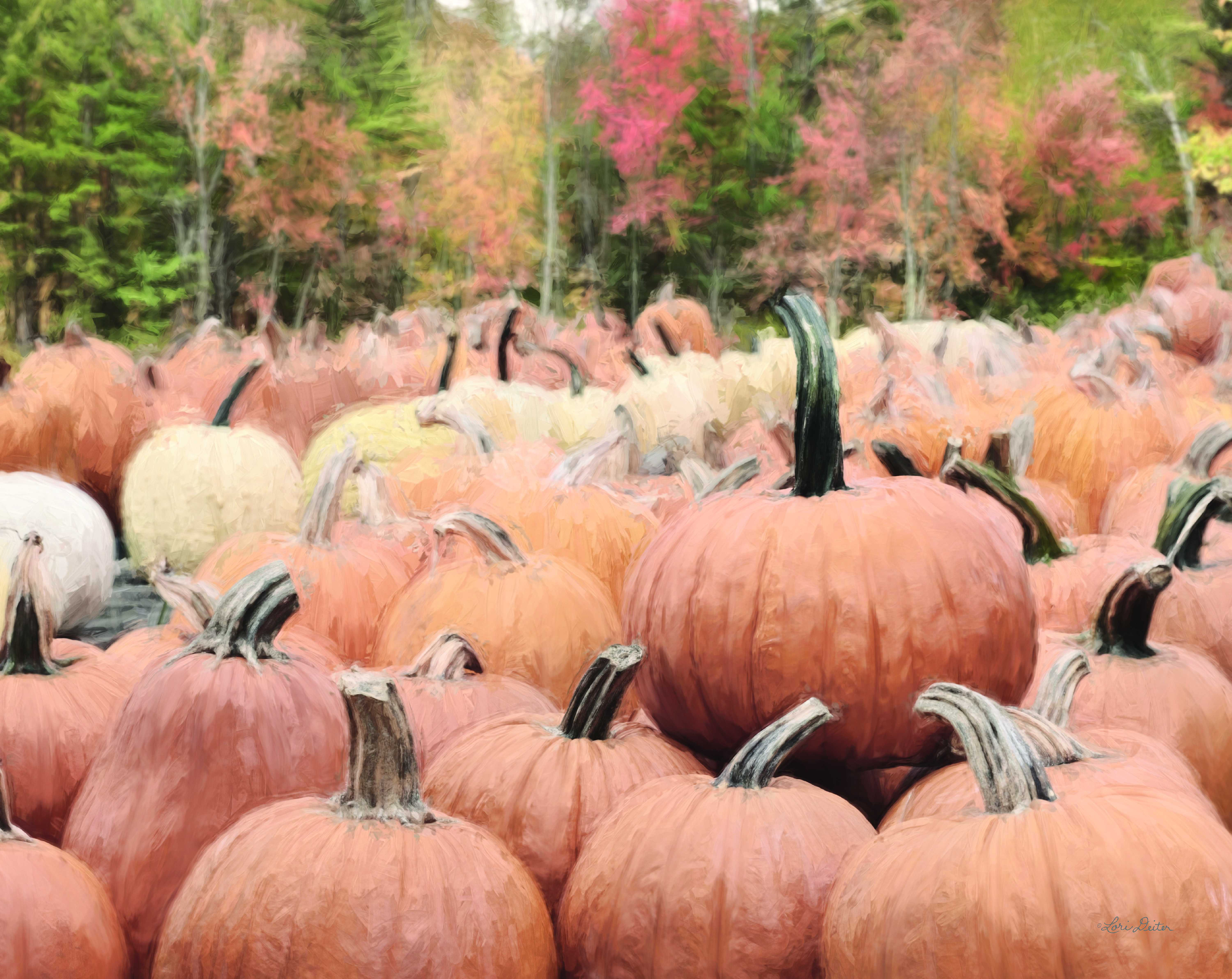 Gracie Oaks The Perfect Pumpkin by Lori Deiter - Print on Canvas | Wayfair