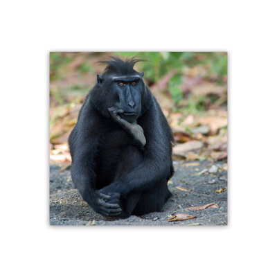 Thinker 1 Piece Wall Art on Canvas