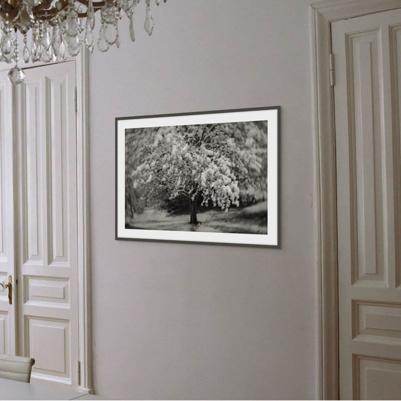 Small Kingdoms 1 Print by Ralph Mercer, 22.54" H x 29.54" W