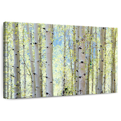 Harnek Aspens