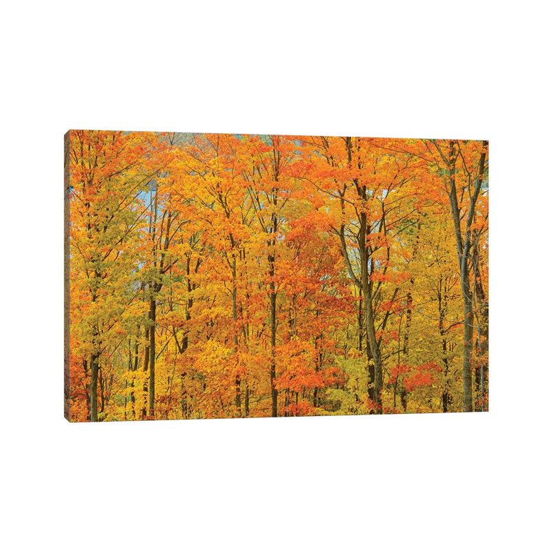 Canada, Ontario, Manitoulin Island by Jaynes Gallery - Wrapped Canvas Print, 66.04 cm H x 45.72 cm W