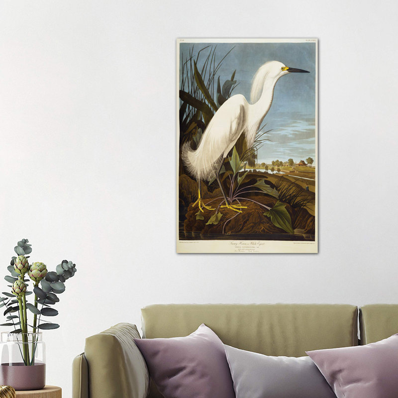 Snowy Heron Or White Egret/Snowy Egret by John Audubon - Wrapped Canvas Print, 101.6 cm H x 66.04 cm W x 3.175 cm D