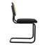 Ensemble de 2 chaises d'appoint Modern