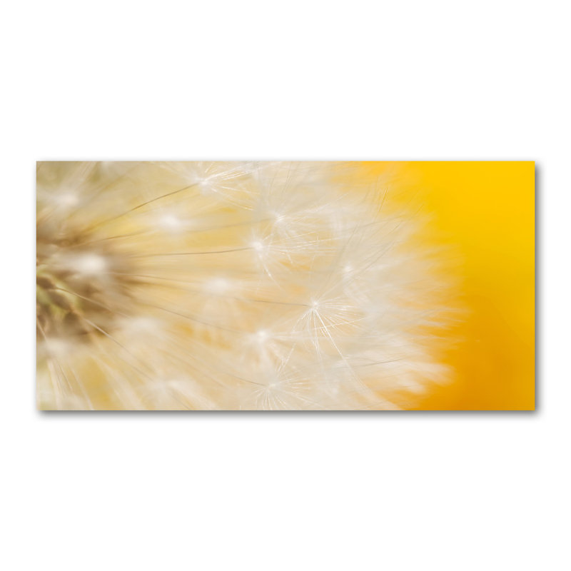 Dandelion - Wrapped Canvas Print