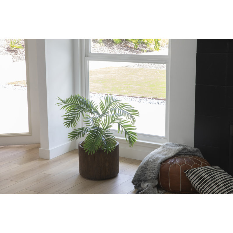 Plante de 63,5 po en forme de serpent