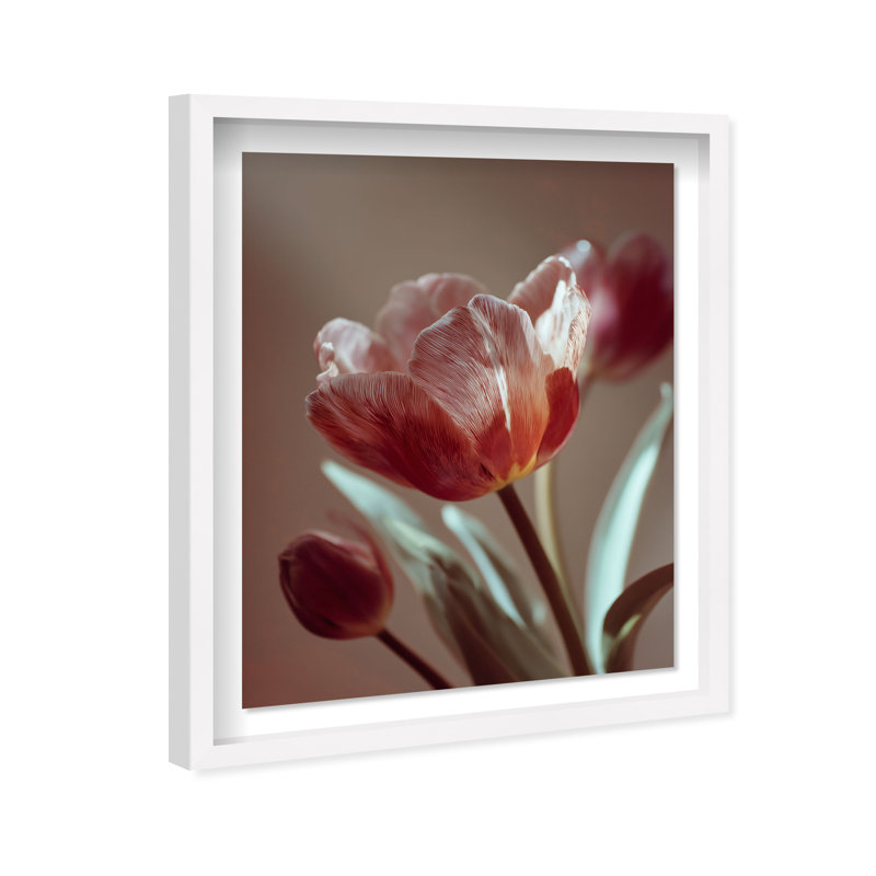 Muse of Spring Shadowbox Floral & Botanical Print by Oliver Gal, Black Frame, 16 x 20, 25.5"H x 31.5"W, White Shadowbox