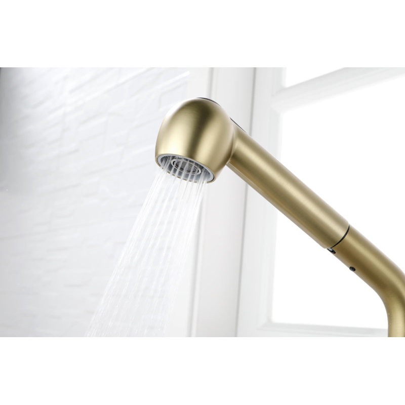 Beslend Pull Out Kitchen Faucet, Brushed Gold