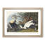 Eider Duck by John Audubon - Picture Frame Painting Print-55539725-55539729
