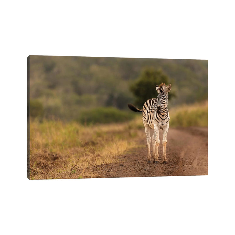 Alone In The Wild by Anders Jorulf - Wrapped Canvas Gallery-Wrapped Canvas Giclée, 66.04 cm H x 45.72 cm W