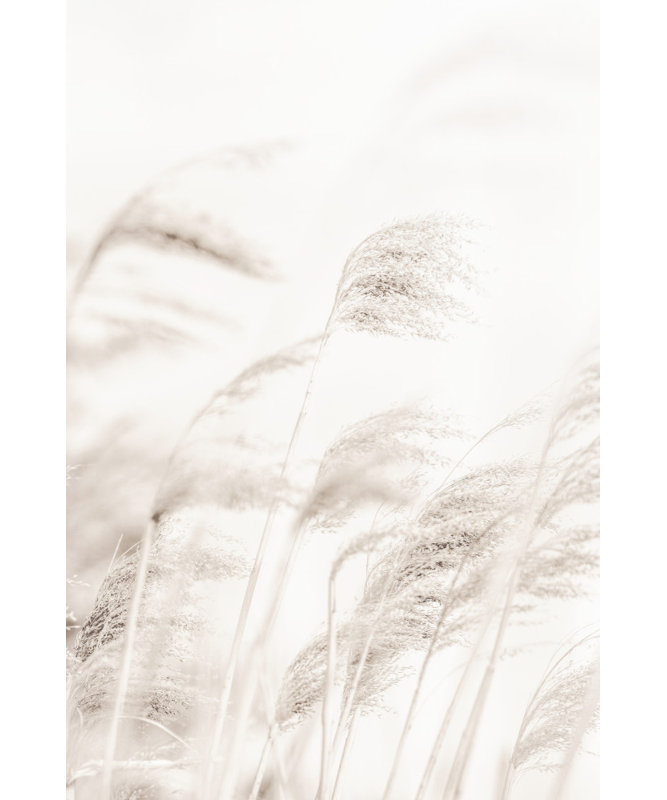 Wrapped Canvas Print, 60.96cm H x 91.44cm W