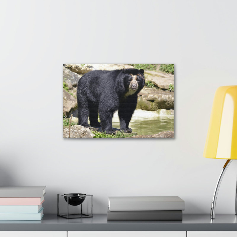 No Frame Print on Canvas, 11cm H x 14cm W