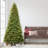 Lighted Fir Christmas Tree-97290930