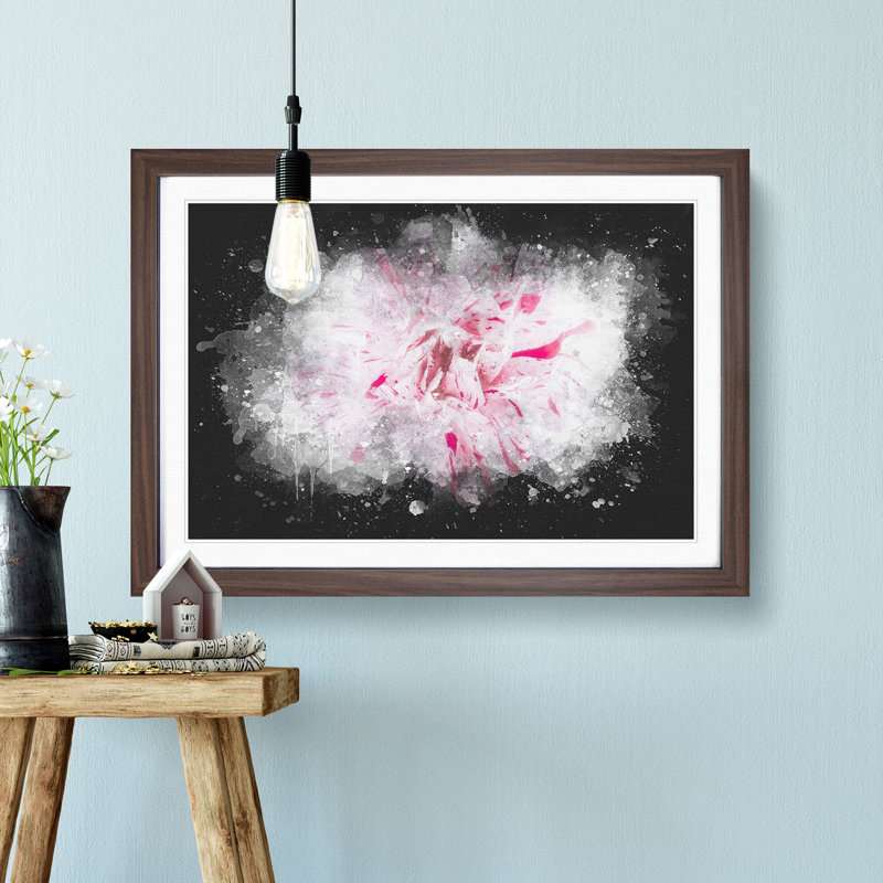 Striking White & Pink Carnation - Picture Frame Graphic Art Print, Walnut Framed, 45cm H x 63cm W x 2cm D