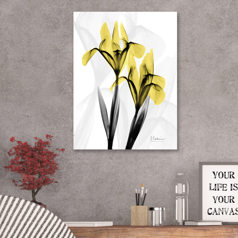 Iris - Wrapped Canvas Print, 76 cm H x 76 cm W