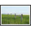 Split Trail-1384800060-1384800061-1384800062