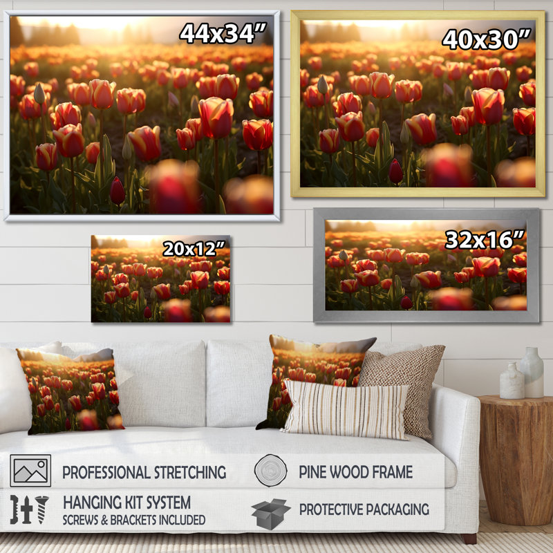Tulip Field II, Cadre flottant doré, H 30 po x l 40 po x P 1,5 po