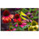 Bird Photo 8'' x 8'' Satin Ceramic Decorative Mural