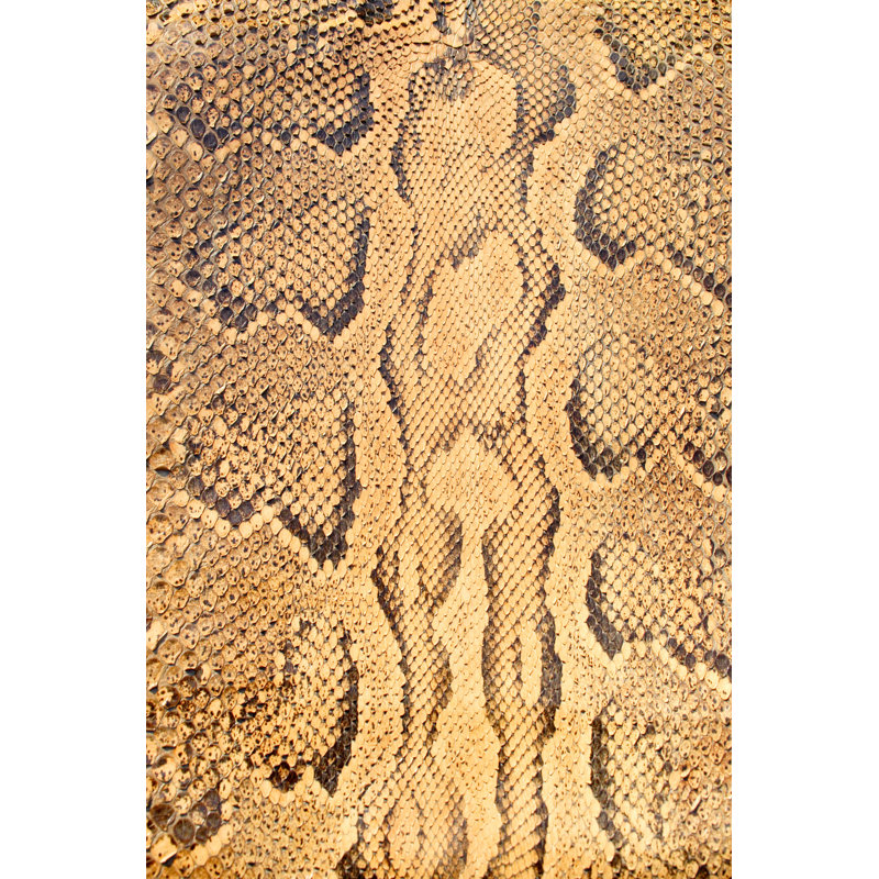 Snake Skin by Anzeletti, 48" H x 32" W
