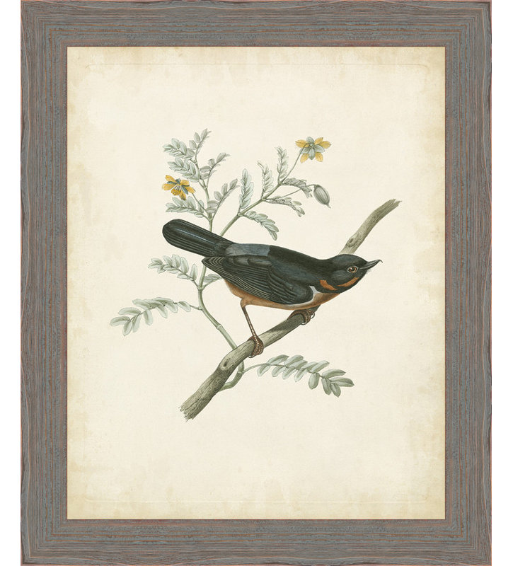 « délicat oiseaux iii », reproduction d’art encadrée