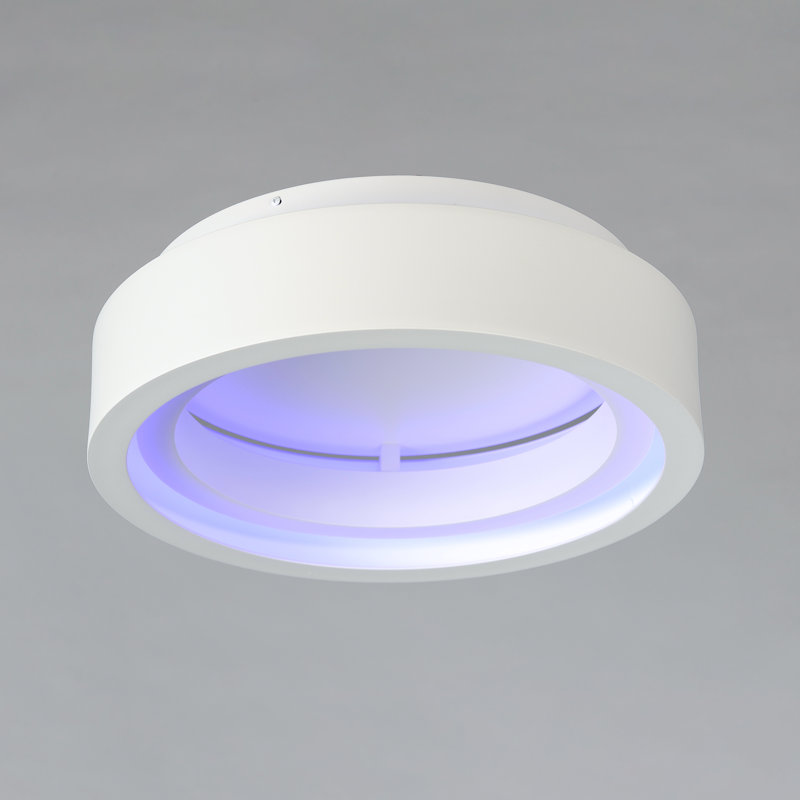 ICorona LED Flush Mount, Matte White