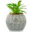 Mini pot à fleurs en céramique Star Star