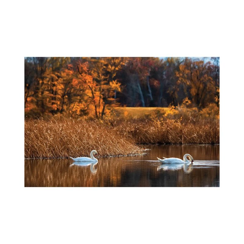 Fall Duet by David Gardiner - Rectangle Print on Canvas, 12"H x 18"W
