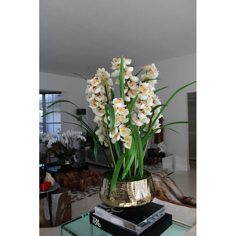 Orchids Arrangement in Basket, White