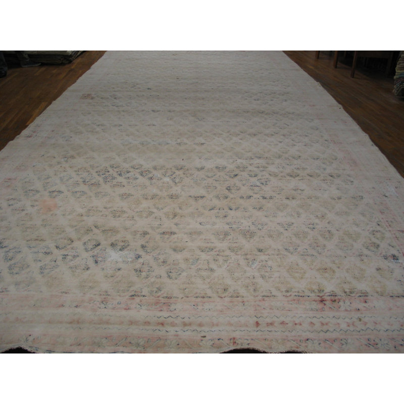 Antique Agra - Cotton Oversized Room Size Cotton Ivory Rug