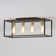 Maleika 4-Light Flush Mount Rectangular Ceiling Light