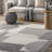 Joëlle Abstract Braided Tasseled Area Rug-1576694679