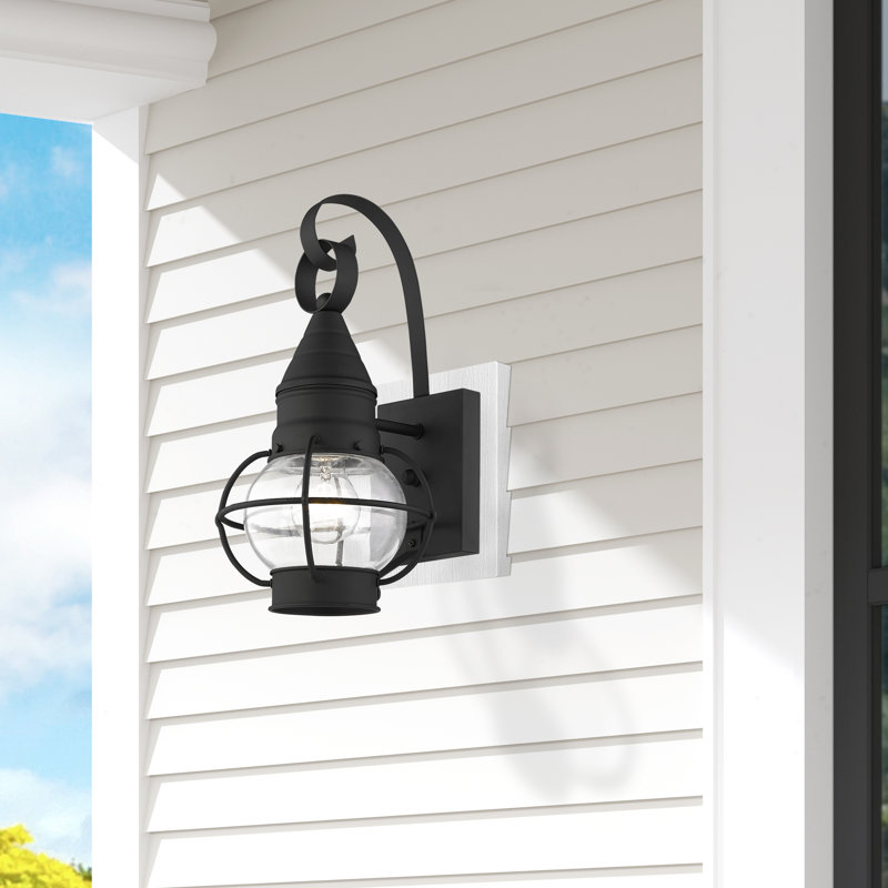 Aster Solid Brass Wall Light, Black, 13.75" H x 7" W x 7.75" D