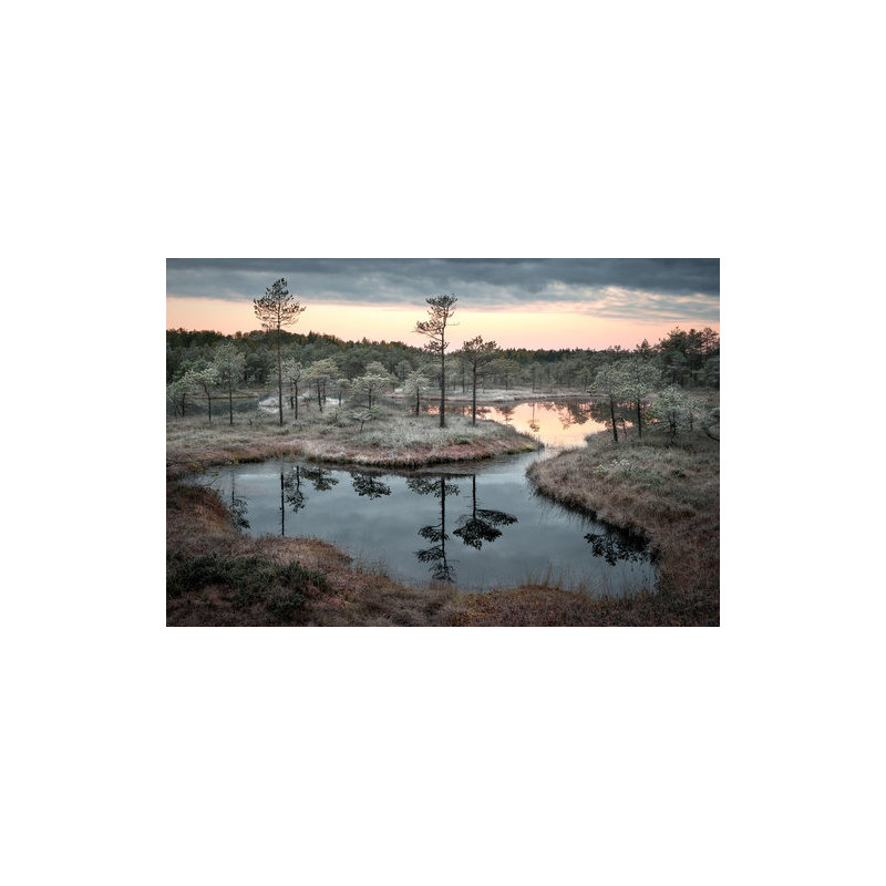 Wrapped Canvas Print, 50.8 cm H x 76.2 cm W