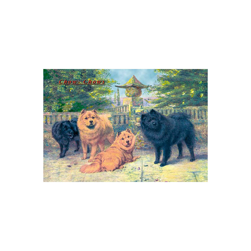 « quatre champion chow-chows », reproduction d’art, H 44 po x l 66 po x P 1,5 po