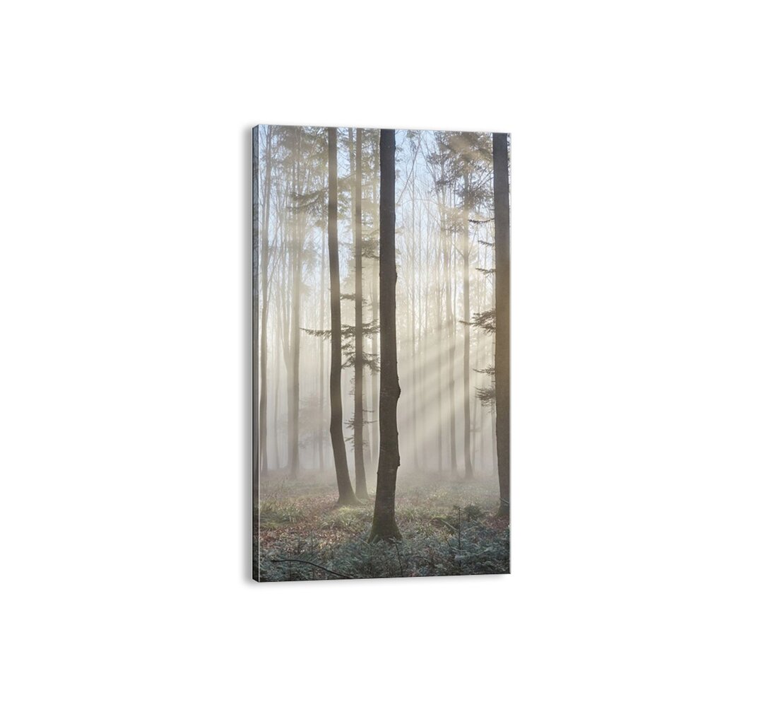 Leinwandbild - Fotografie „The Fog Has Also Woken Up”