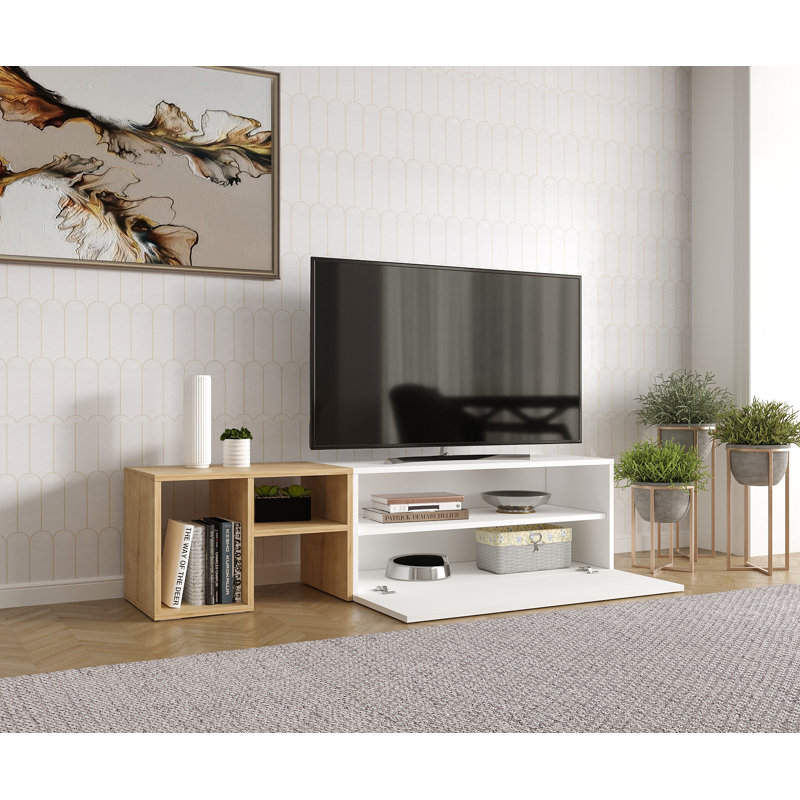 Dream 2 Kiyohisa Minimalist Geometric Design 63" TV Stand