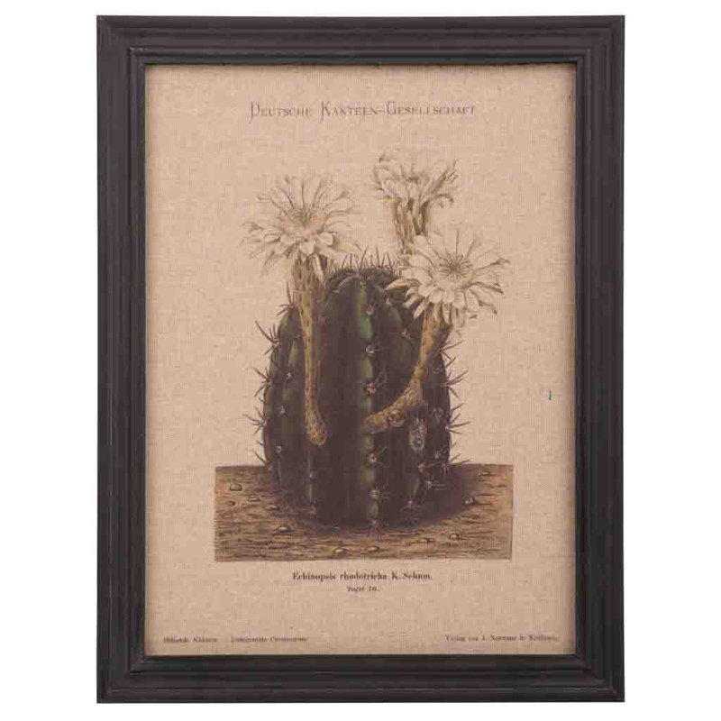 Single Picture Frame Print