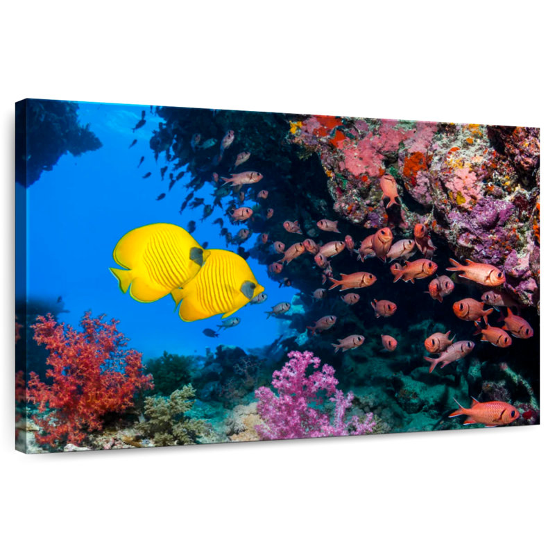 Aletra vibrant mer rouge sous l'eau, H 20 po x l 30 po