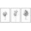 Minimalist Tree " Black And White Tropical Palm Tree Simple Minimalist Neutral Modern Art Work Room Decor " 3 - Pieces-98696604-98696601
