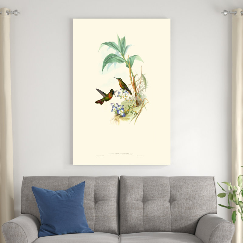 Hummingbird Delight X, H 48 po x l 32 po x P 1,25 po