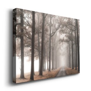 Photography Wall Art You'll Love